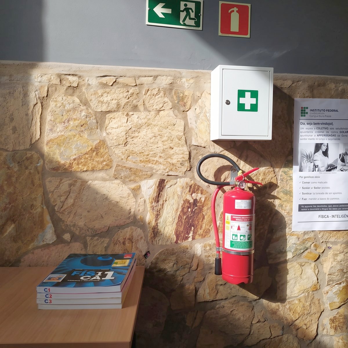 Figura 5